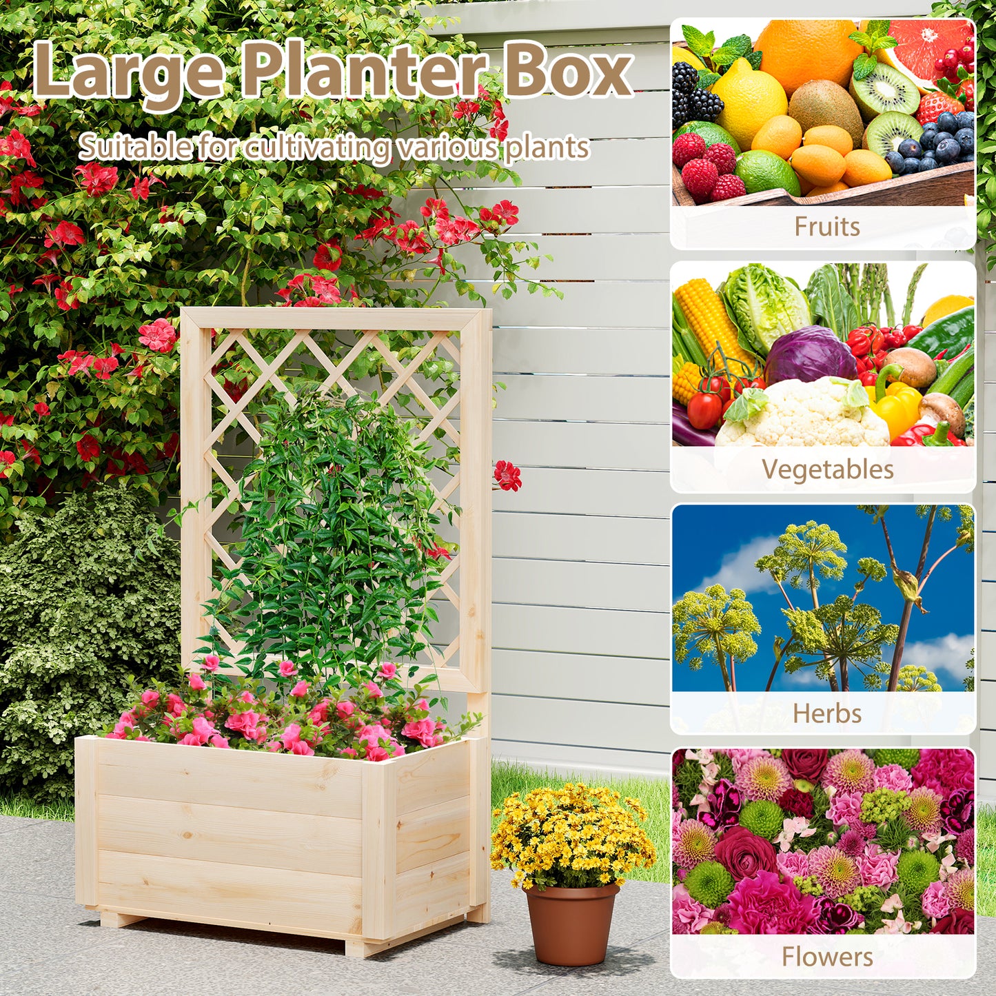 Raised Garden Bed Wooden Elevated Planter Box with Lattice Trellis-S
